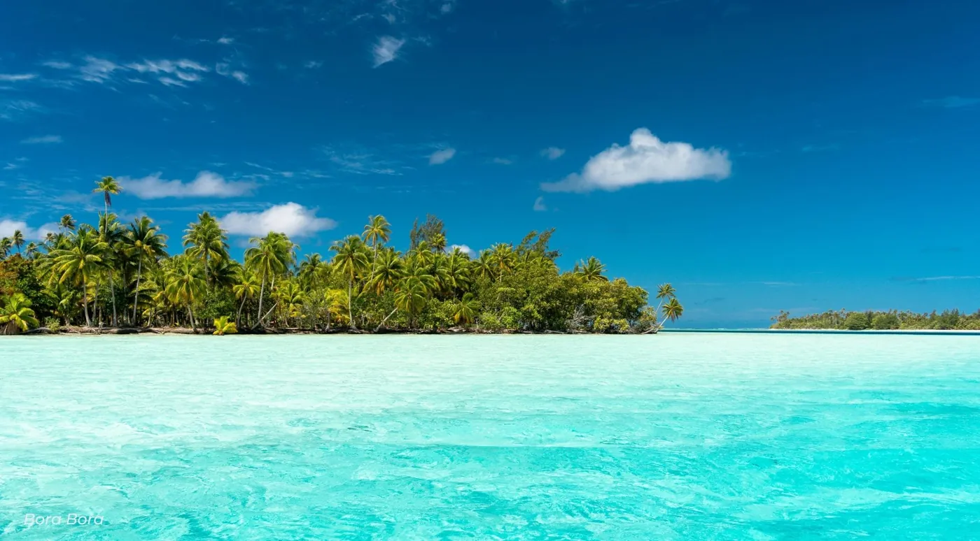 Palm-covered motu beyond pale turquoise shallows under a deep blue sky