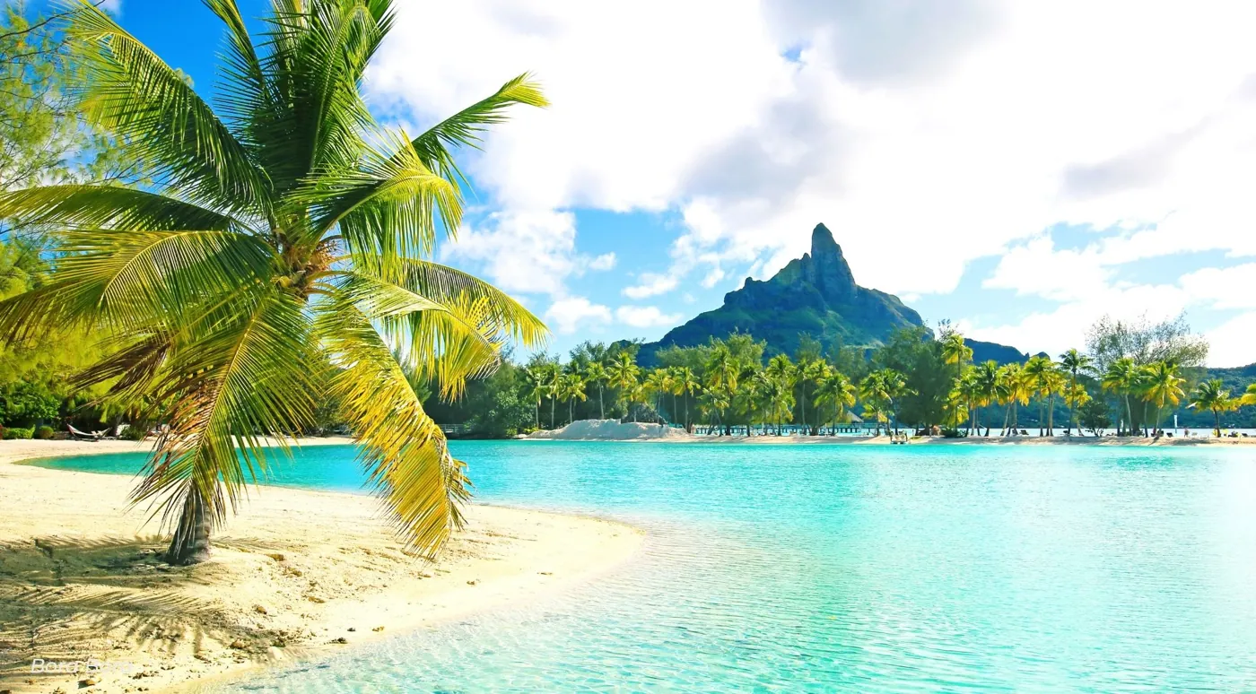 Leaning coconut palm on a white sand beach with Mount Otemanu across the water