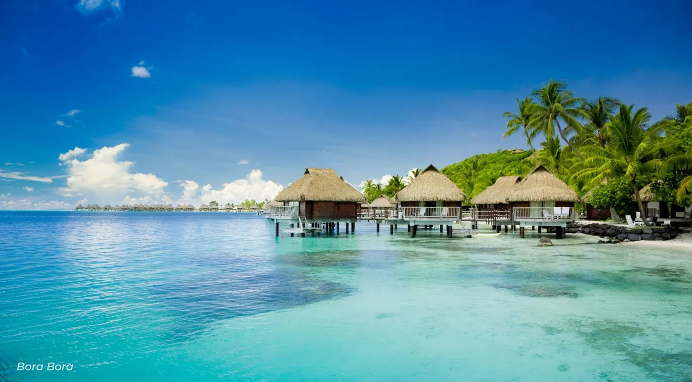 Row of overwater villas and palm trees beside calm turquoise water