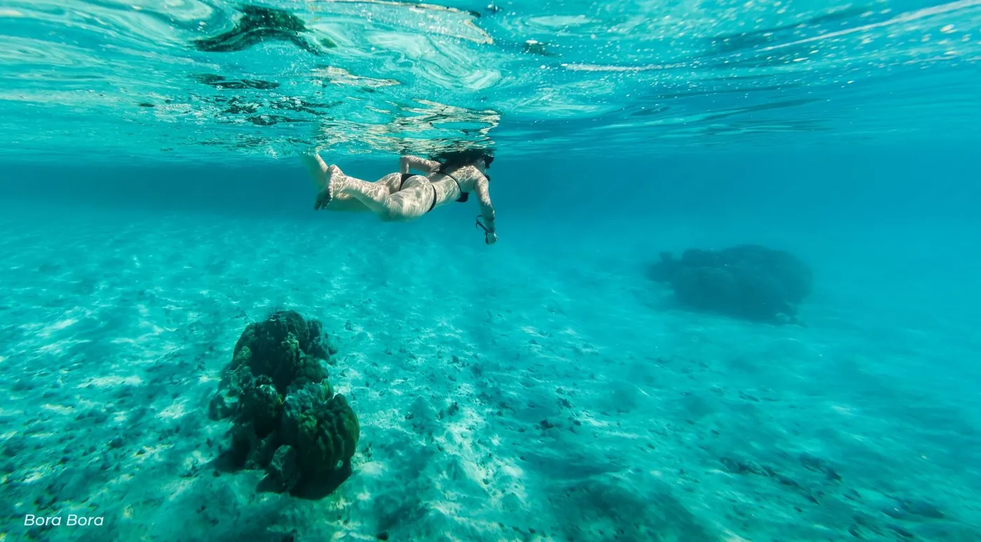 Snorkeler floating face down over pale sand and a lone coral head