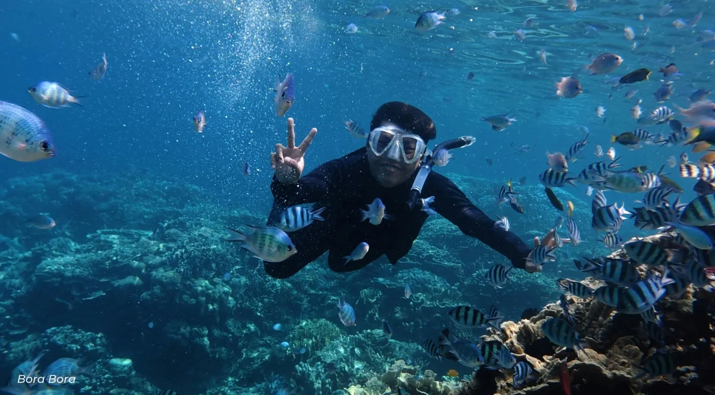 Snorkeler in a mask surrounded by a school of striped reef fish above coral