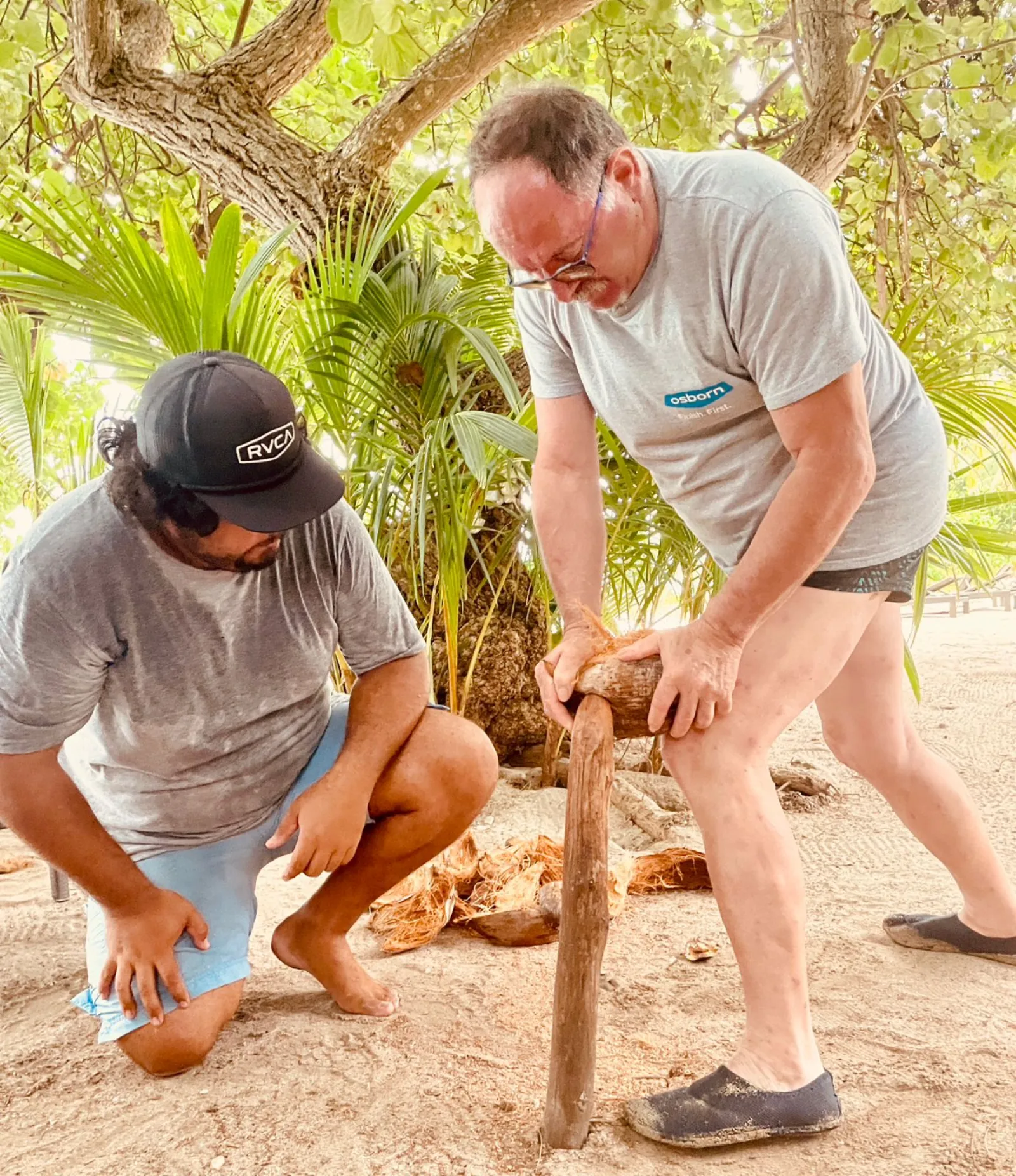 Guide and guest husking a coconut on a wooden stake on the motu