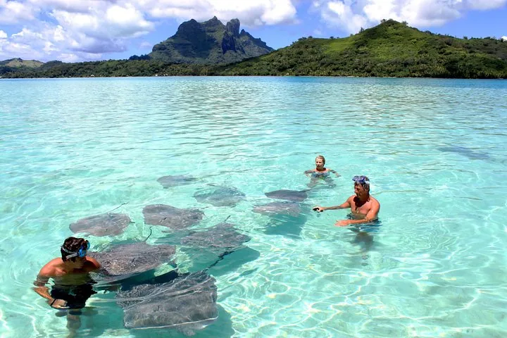 Snorkelers standing in shallow turquoise water among a group of stingrays