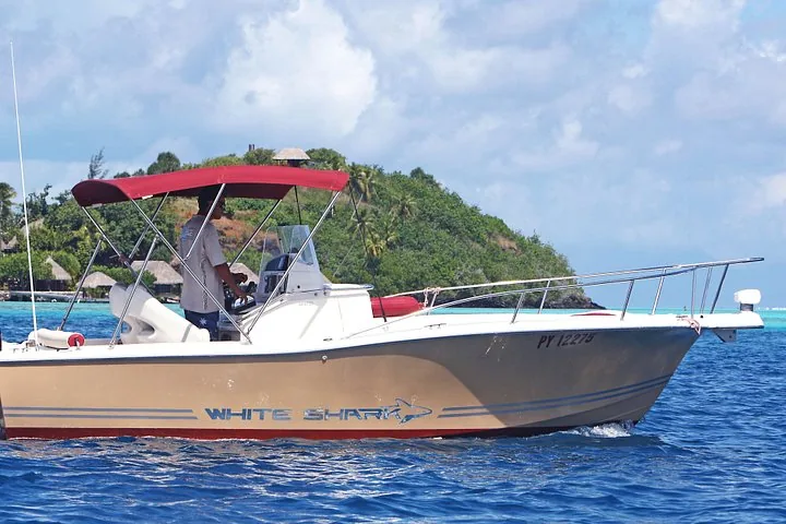 White Shark motorboat with a red canopy cruising past a green hillside