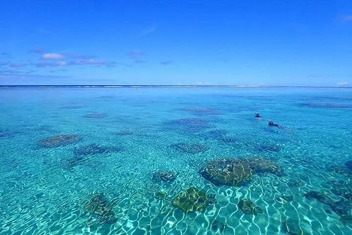 Snorkelers over scattered coral heads in clear shallow water