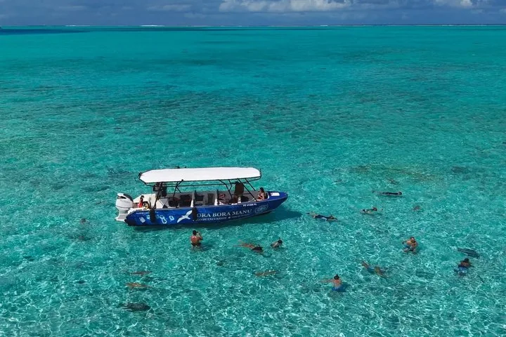 Aerial view of a covered boat with snorkelers and rays nearby