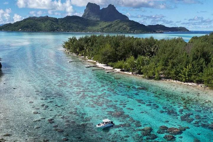 Reef Discovery Half-Day Snorkel Tour