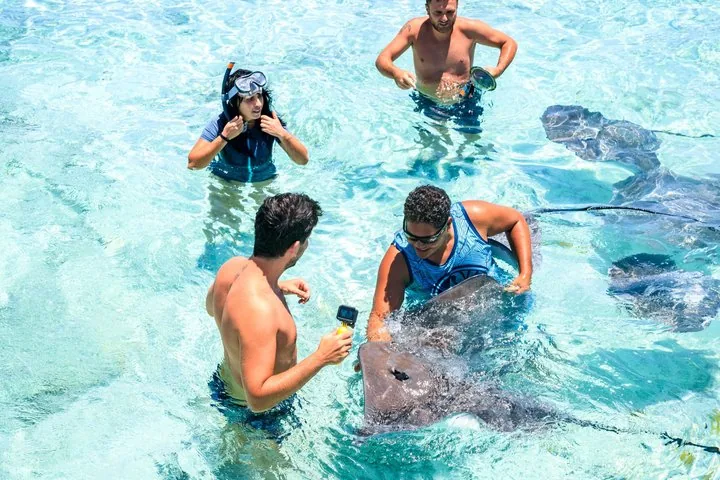 Snorkelers standing waist-deep in shallow water as stingrays glide around them
