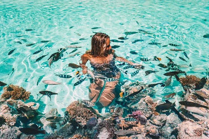 Woman wading among striped tropical fish over coral in shallow water