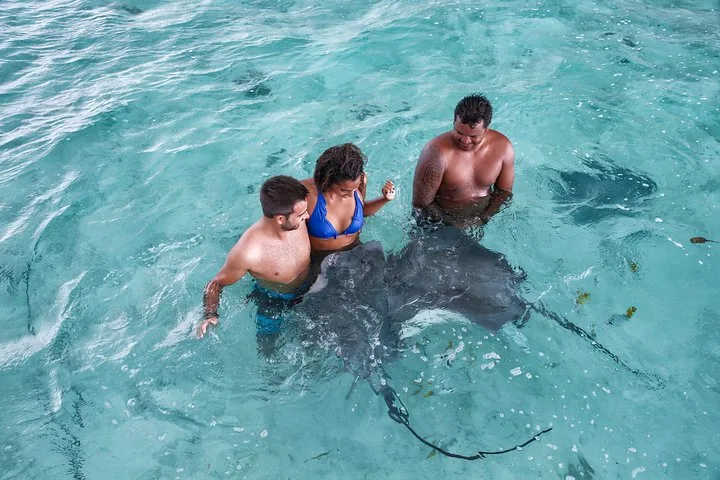 Guide and two guests standing waist-deep beside a large stingray