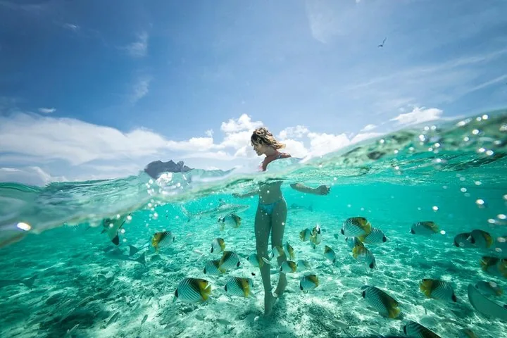 Split view of a woman standing in shallow water among butterflyfish